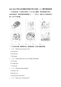 2023-2024学年山东省临沂市经开区九年级（上）期中英语试卷