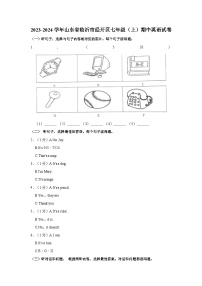 2023-2024学年山东省临沂市经开区七年级（上）期中英语试卷