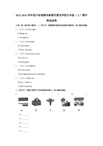 2023-2024学年四川省成都市新都区蜀龙学校九年级（上）期中英语试卷