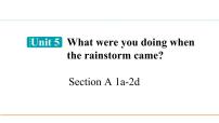 初中英语人教新目标 (Go for it) 版八年级下册Unit 5 What were you doing when the rainstorm came?Section A图片课件ppt