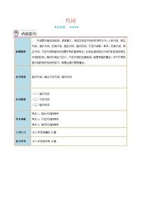 中考英语二轮复习核心语法逐个突破专题4 指示代词、不定代词、疑问代词（含解析）