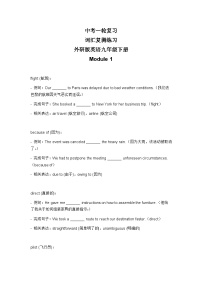 2024年外研版中考英语一轮复习九年级下册 Module 1 词汇复测练习