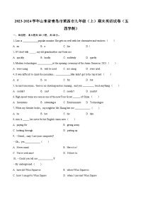 2023-2024学年山东省青岛市莱西市九年级（上）期末英语试卷（五四学制）（含详细答案解析）