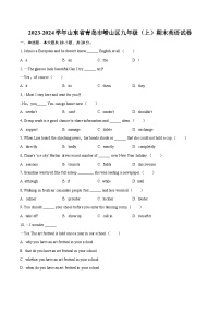 2023-2024学年山东省青岛市崂山区九年级（上）期末英语试卷（含详细答案解析）