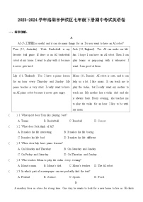 河南省洛阳市伊滨区2023-2024学年七年级下学期期中考试英语试卷