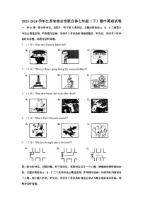 江苏省南京市联合体2023-2024学年七年级下学期期中英语试卷