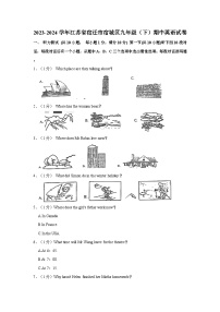 2023-2024学年江苏省宿迁市宿城区九年级下学期期中英语试卷（含答案）