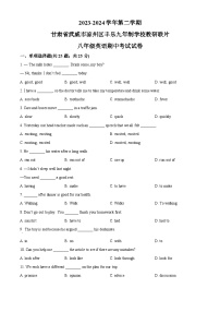 甘肃省武威市凉州区怀安九年制学校联片教研2023-2024学年八年级下学期期中英语试题（原卷版+解析版）