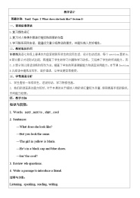 仁爱科普版七年级上册Topic 2 What does she look like?教案
