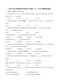 2024年江苏省扬州市仪征市九年级（下）中考一模英语试卷v