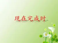 现在完成时复习课件2023-2024学年人教版九年级英语全册