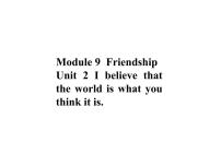 初中英语外研版 (新标准)八年级下册Unit 2  I believe that the world is what you think it is授课课件ppt