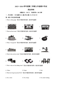 江苏省镇江市丹阳市2023-2024学年九年级下学期期中英语试题（原卷版+解析版）