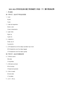 河北省石家庄市栾城区2023-2024学年八年级下学期期中考试英语试卷