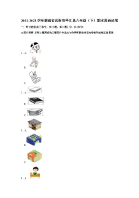 2022-2023学年湖南省岳阳市平江县八年级（下）期末英语试卷