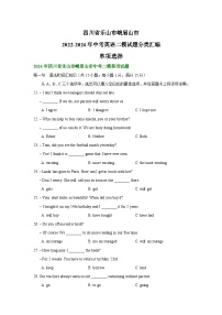 四川省乐山市峨眉山市2022-2024年中考英语二模试题分类汇编：单项选择