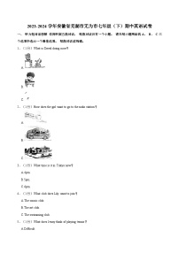 安徽省芜湖市无为市2023-2024学年七年级下学期期中考试英语试卷+