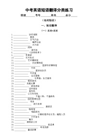 初中英语2024届中考词句训练短语翻译分类练习（名词短语）