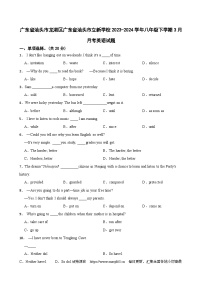 18，广东省汕头市龙湖区立新学校2023-2024学年八年级下学期3月月考英语试题