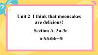 初中英语人教新目标 (Go for it) 版九年级全册Unit 2 I think that mooncakes are delicious!Section A课文配套课件ppt