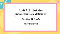 初中英语人教新目标 (Go for it) 版九年级全册Unit 2 I think that mooncakes are delicious!Section B课堂教学课件ppt