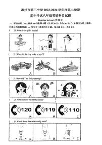 广东省惠州市惠城区第三中学2023-2024学年下学期期中考试八年级英语试题