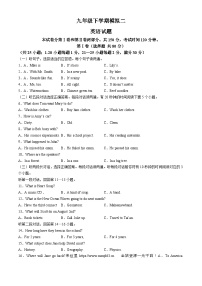 2024年山东省泰安市宁阳县第三中学（五四制）中考二模英语试题(无答案)