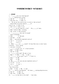 中考英语专题练习——句子成分