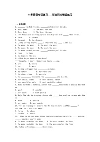 中考英语专题练习——形容词比较级