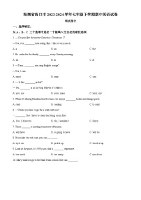 海南省海口市2023-2024学年七年级下学期期中英语试题（原卷版+解析版）