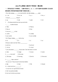 2024年云南省大理州中考一模英语试题