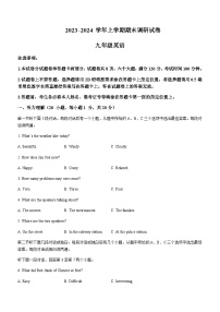 河南省平顶山市鲁山县2023-2024学年九年级上学期期末英语试题含答案