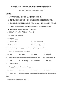 湖北武汉2023-2024学年八年级英语下学期期末模拟练习卷