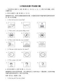 广东省东莞市虎门红星学校2023-2024学年九年级上学期11月期中英语试题含答案