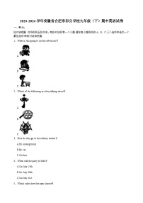 2023-2024学年安徽省合肥市部分学校九年级（下）期中英语试卷