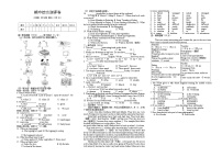 2024-2025学年牛津译林版七年级英语上册期中综合测试卷