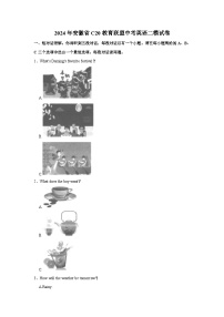 2024年安徽省C20教育联盟中考英语二模试卷（含听力音频）