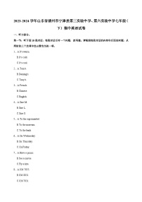 2023-2024学年山东省德州市宁津县第三实验中学、第六实验中学七年级（下）期中英语试卷