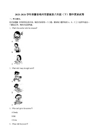 安徽省亳州市蒙城县2023-2024学年八年级下学期期中英语试卷