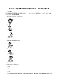 安徽省亳州市蒙城县2023-2024学年八年级下学期期中英语试卷