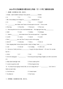 2024年江苏省南京市联合体九年级（下）中考二模英语试卷（含解析）