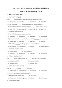 专题03 重点语法综合练100题-2023-2024学年八年级英语下学期期末易错题特训（译林版）