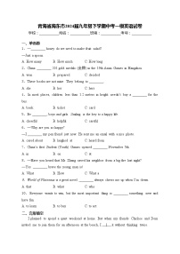 青海省海东市2024届九年级下学期中考一模英语试卷(含答案)