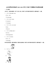 山东省青岛市李沧区2022-2023学年八年级下学期期末考试英语试题（含答案