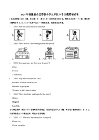 2024年安徽省合肥寿春中学九年级中考三模英语试卷（含答案）