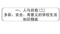 2024成都中考英语试题研究 一、人与自我(二)多彩、安全、有意义的学校生活 知识精练（课件）