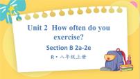 初中英语人教新目标 (Go for it) 版八年级上册Section B教案配套课件ppt