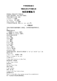 初中英语2024届中考语法复习可数名词与不可数名词知识讲解练习