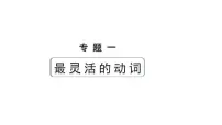 2024长沙中考英语二轮复习 专题一 第4讲 动词的时态（课件）