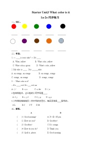 人教新目标 (Go for it) 版七年级上册Unit 3 What color is it ?同步练习题